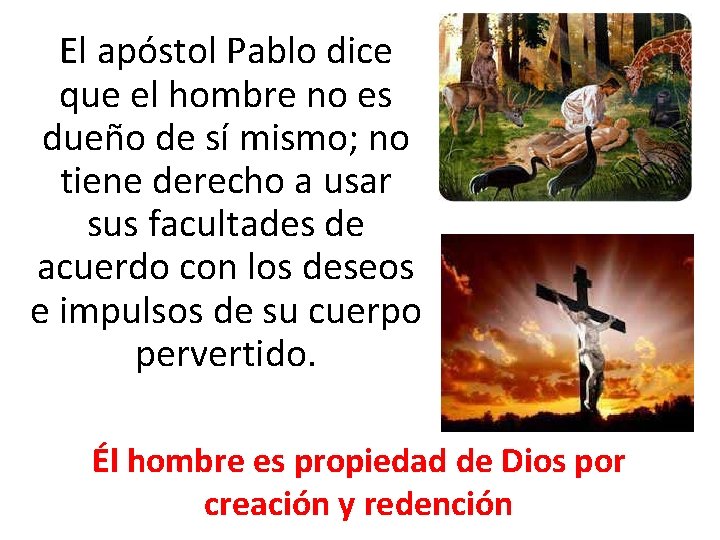 El apóstol Pablo dice que el hombre no es dueño de sí mismo; no