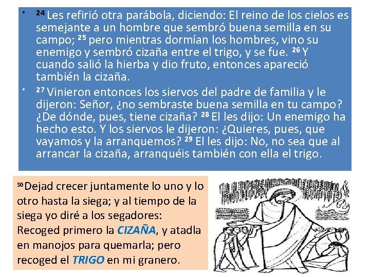  • • 24 Les refirió otra parábola, diciendo: El reino de los cielos