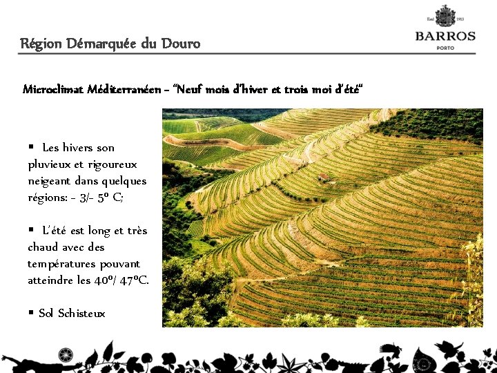Région Démarquée du Douro Microclimat Méditerranéen - “Neuf mois d’hiver et trois moi d’été”