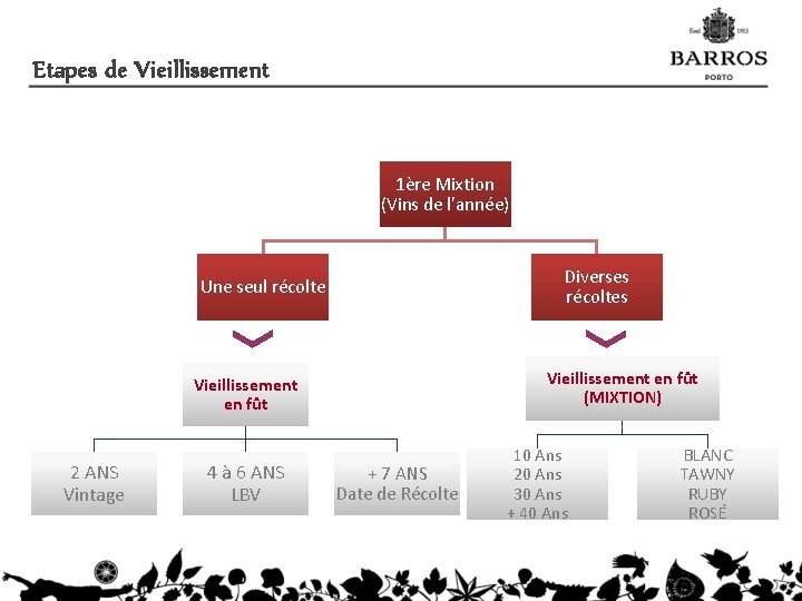 Etapes de Vieillissement 1ère Mixtion (Vins de l’année) Diverses récoltes Une seul récolte Vieillissement