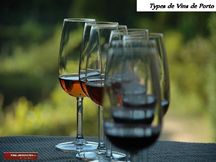 Types de Vins de Porto 