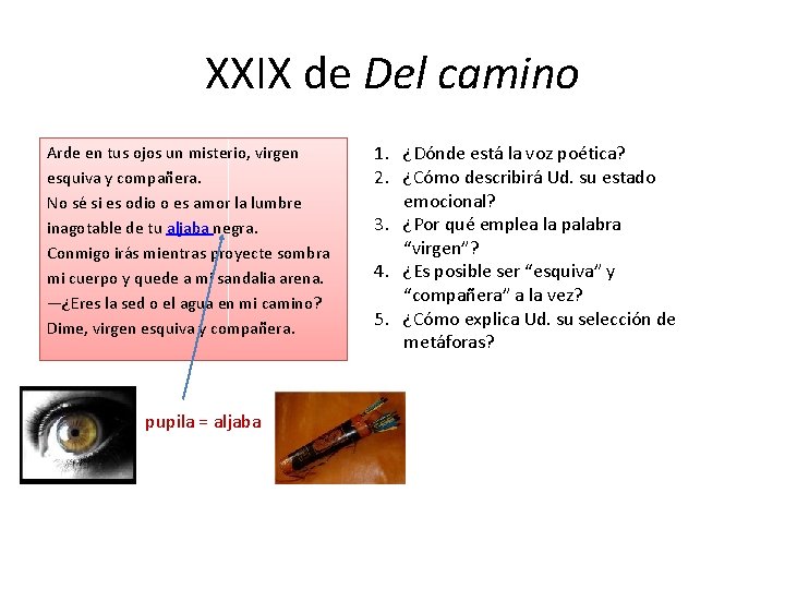 XXIX de Del camino Arde en tus ojos un misterio, virgen esquiva y compañera.
