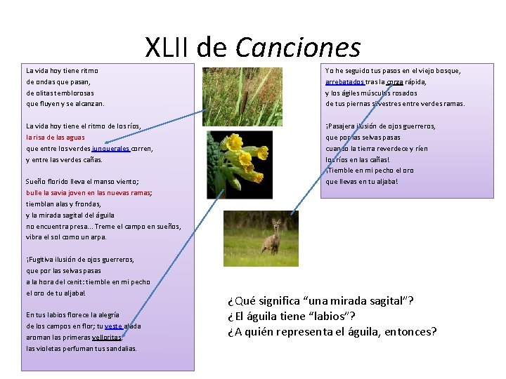 XLII de Canciones La vida hoy tiene ritmo de ondas que pasan, de olitas