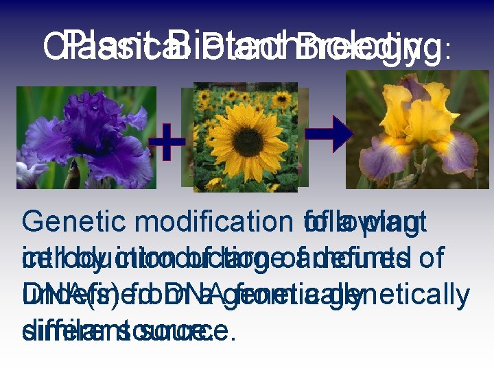 Plant Biotechnology : : Classical Plant Breeding Genetic modification of following a plant introduction