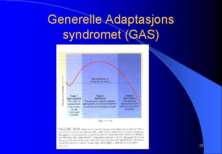 Generelle Adaptasjons syndromet (GAS) 18 