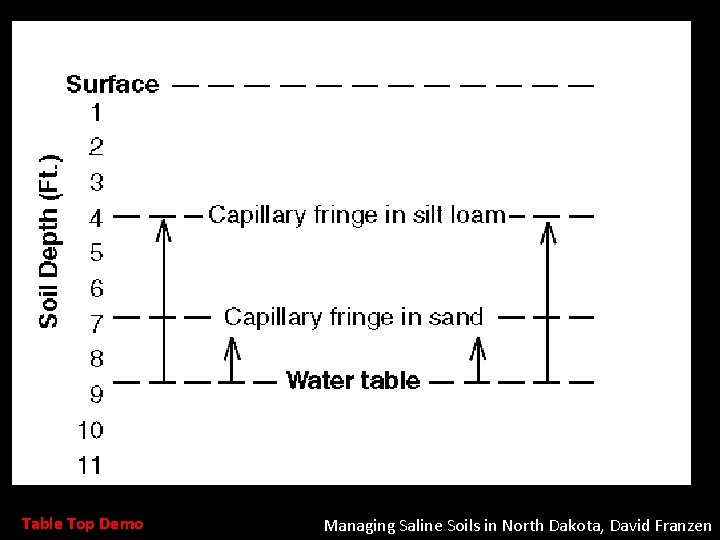 Table Top Demo Managing Saline Soils in North Dakota, David Franzen 