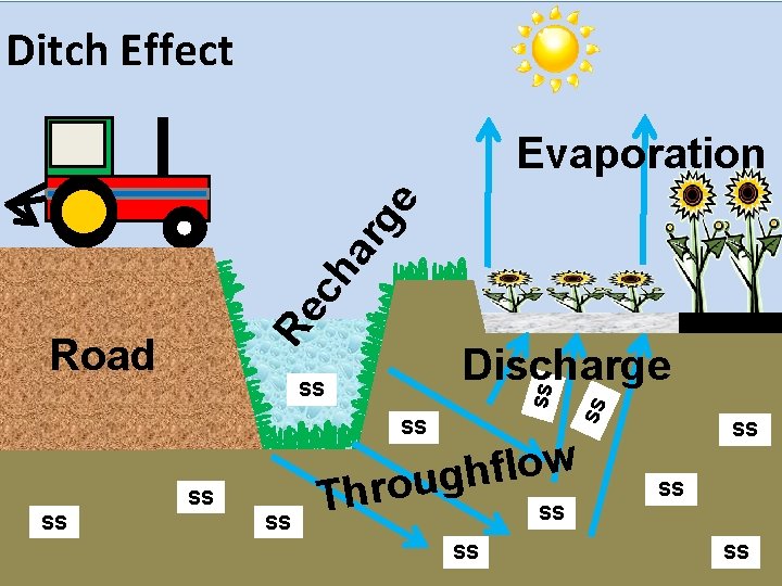 Ditch Effect Re ch ar ge Evaporation SS SS SS w o l f