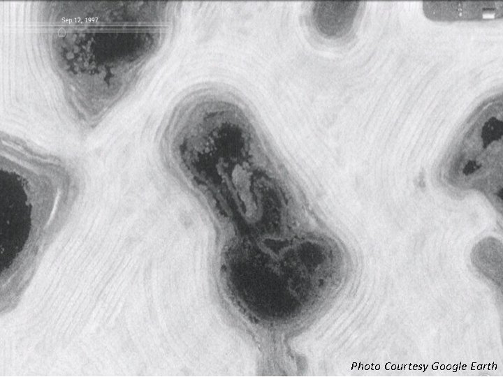 Photo Courtesy Google Earth 