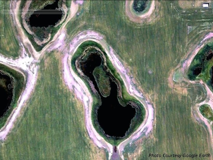 Photo Courtesy Google Earth 