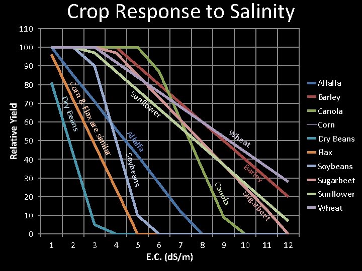 Crop Response to Salinity 110 100 90 nf imi re s xa Fla n&