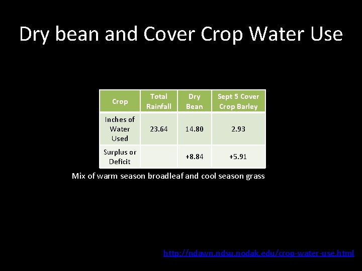 Dry bean and Cover Crop Water Use Crop Total Rainfall Dry Bean Sept 5