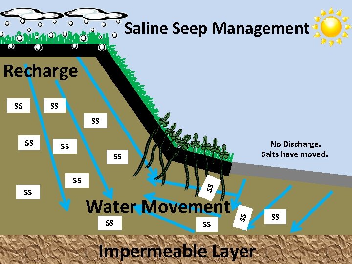 Saline Seep Management Recharge SS SS No Discharge. Salts have moved. Water Movement SS