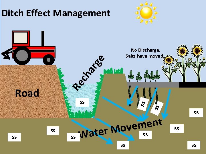 Ditch Effect Management SS SS SS Road SS Re ch ar g e No