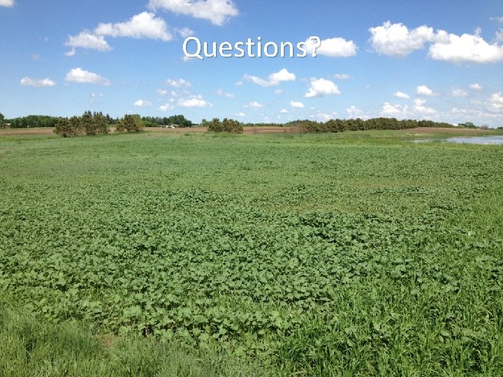 Questions? 