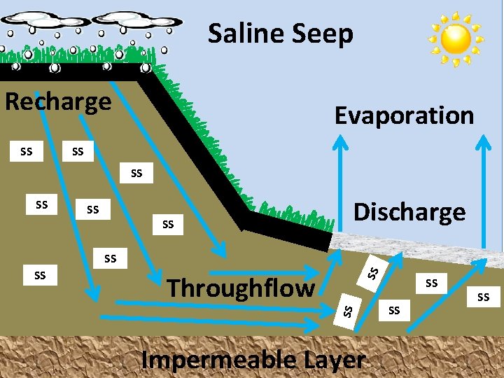 Saline Seep Recharge SS Evaporation SS SS SS Discharge Throughflow SS SS Impermeable Layer