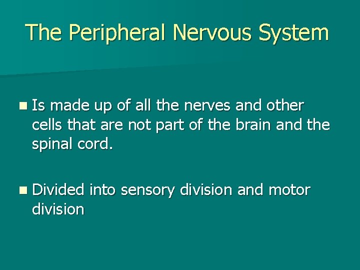 The Peripheral Nervous System n Is made up of all the nerves and other