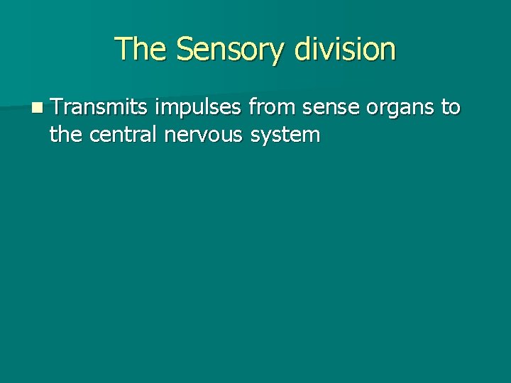 The Sensory division n Transmits impulses from sense organs to the central nervous system
