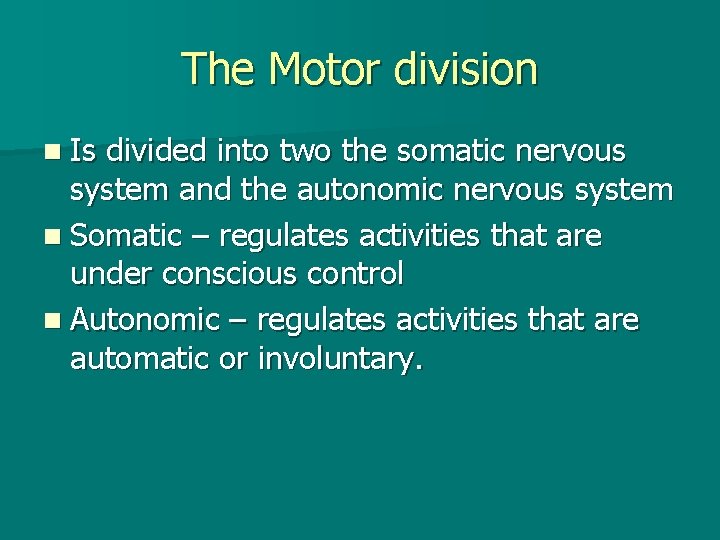 The Motor division n Is divided into two the somatic nervous system and the