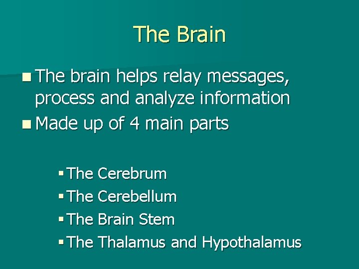 The Brain n The brain helps relay messages, process and analyze information n Made