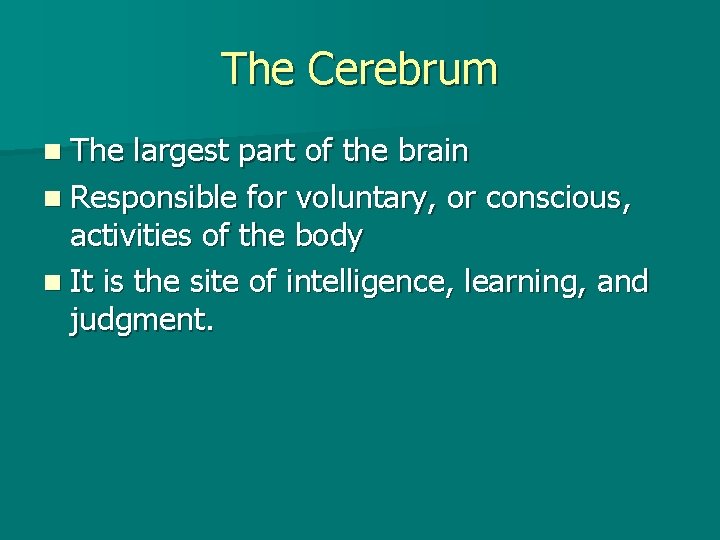 The Cerebrum n The largest part of the brain n Responsible for voluntary, or