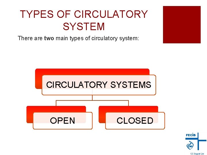 TYPES OF CIRCULATORY SYSTEM There are two main types of circulatory system: CIRCULATORY SYSTEMS