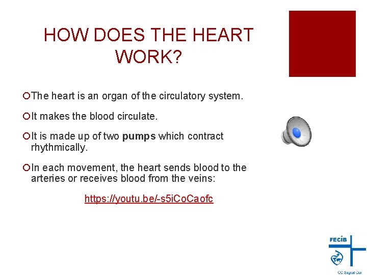 HOW DOES THE HEART WORK? ¡The heart is an organ of the circulatory system.