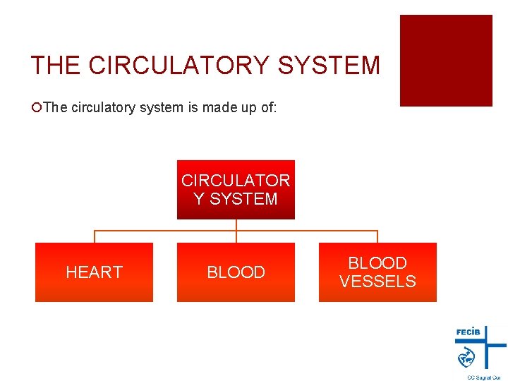 THE CIRCULATORY SYSTEM ¡The circulatory system is made up of: CIRCULATOR Y SYSTEM HEART