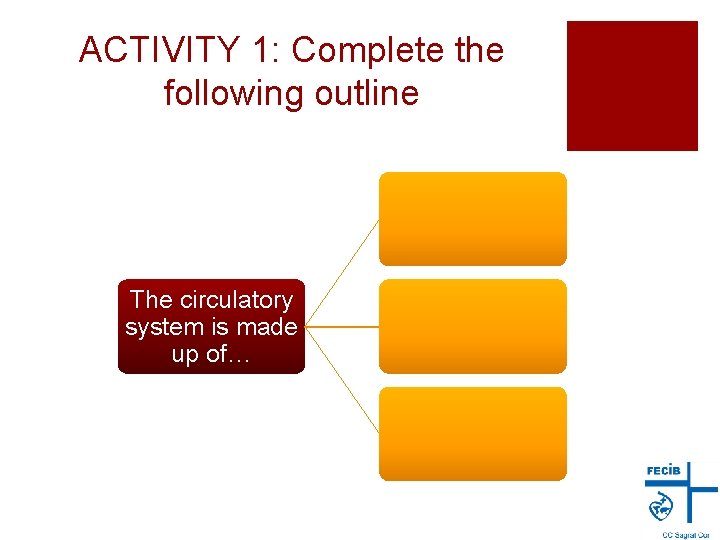 ACTIVITY 1: Complete the following outline The circulatory system is made up of… 