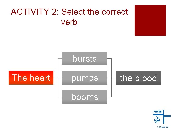 ACTIVITY 2: Select the correct verb bursts The heart pumps booms the blood 