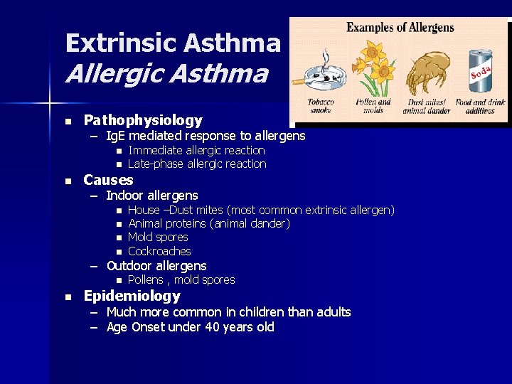 Extrinsic Asthma Allergic Asthma n Pathophysiology – Ig. E mediated response to allergens n