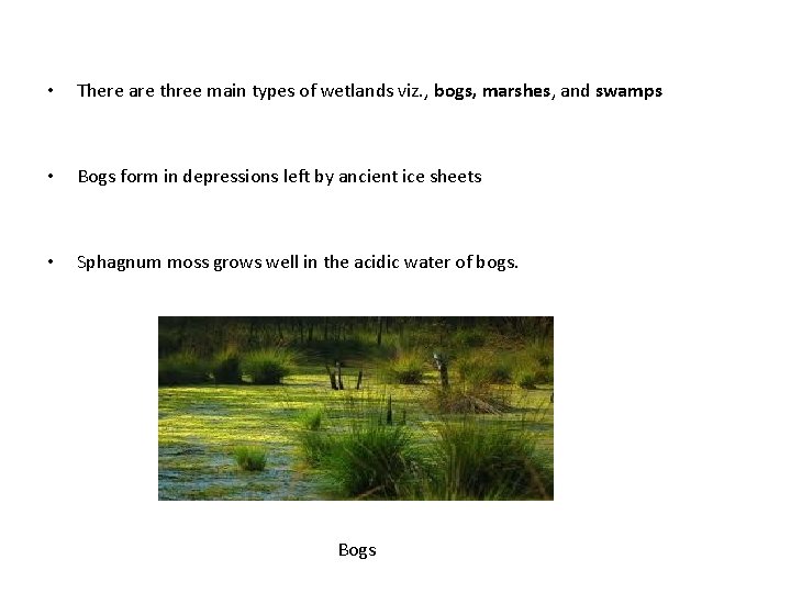  • There are three main types of wetlands viz. , bogs, marshes, and