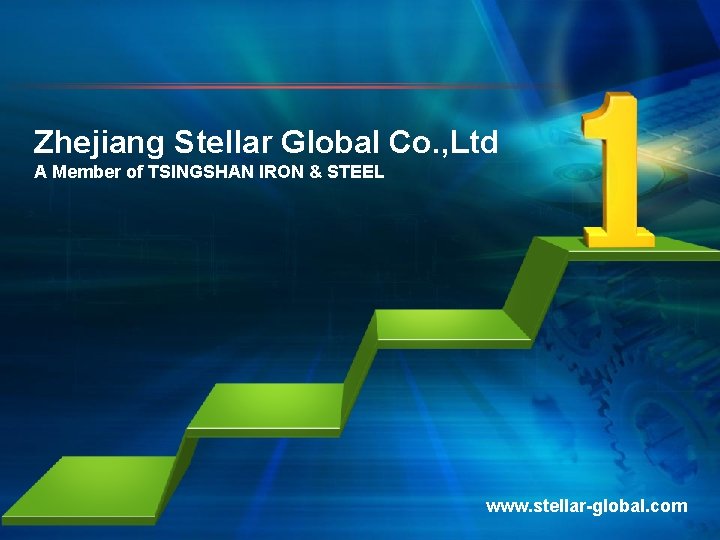Zhejiang Stellar Global Co. , Ltd A Member of TSINGSHAN IRON & STEEL www.