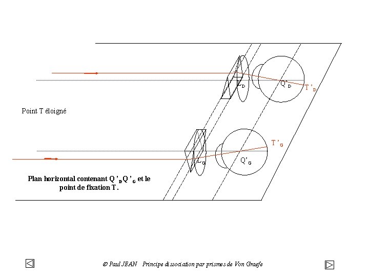 LD Q’D Point T éloigné T ’G LG Q’G Plan horizontal contenant Q ’DQ