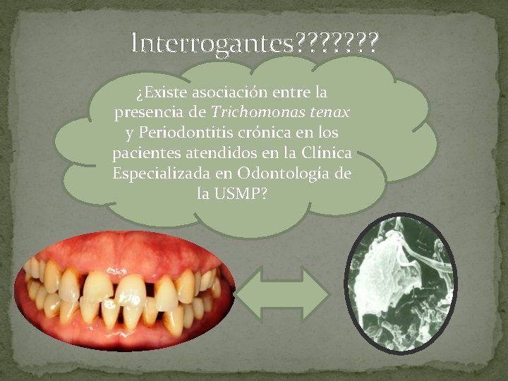 Interrogantes? ? ? ? ¿Existe asociación entre la presencia de Trichomonas tenax y Periodontitis