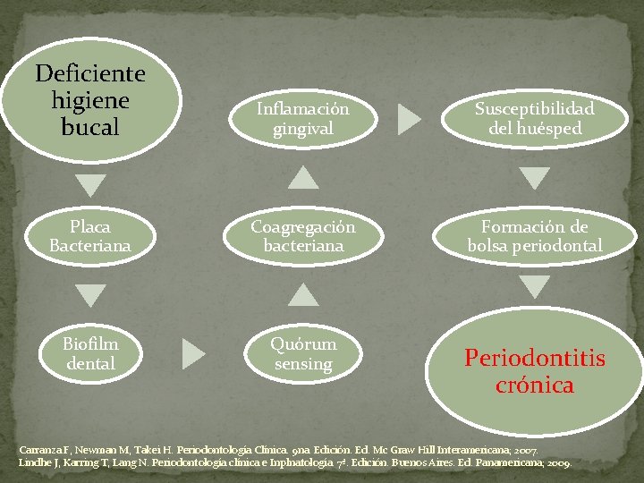 Deficiente higiene bucal Inflamación gingival Susceptibilidad del huésped Placa Bacteriana Coagregación bacteriana Formación de