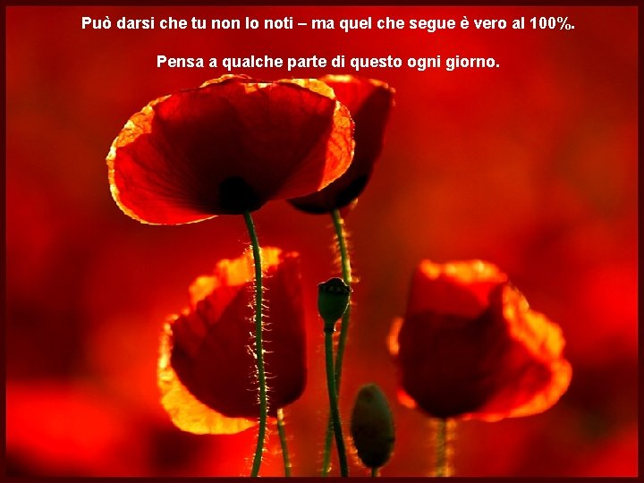 Può darsi che tu non lo noti – ma quel che segue è vero