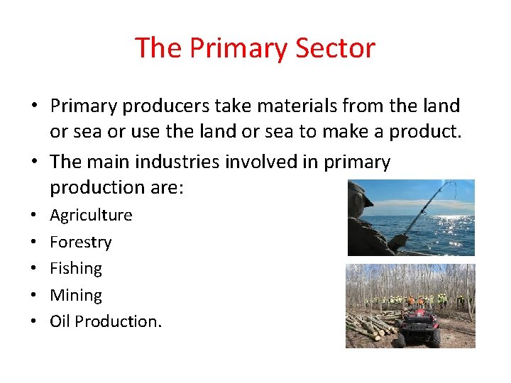 The Primary Sector • Primary producers take materials from the land or sea or