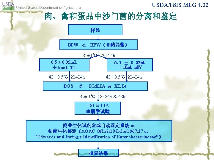 USDA/FSIS MLG 4. 02 肉、禽和蛋品中沙门菌的分离和鉴定 样品 BPW or BPW（含结晶紫） 35± 1℃ 0. 5 ±