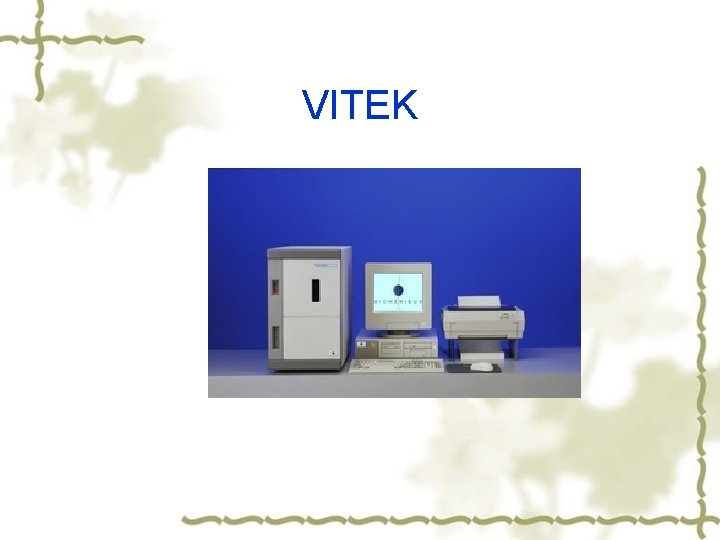 VITEK 