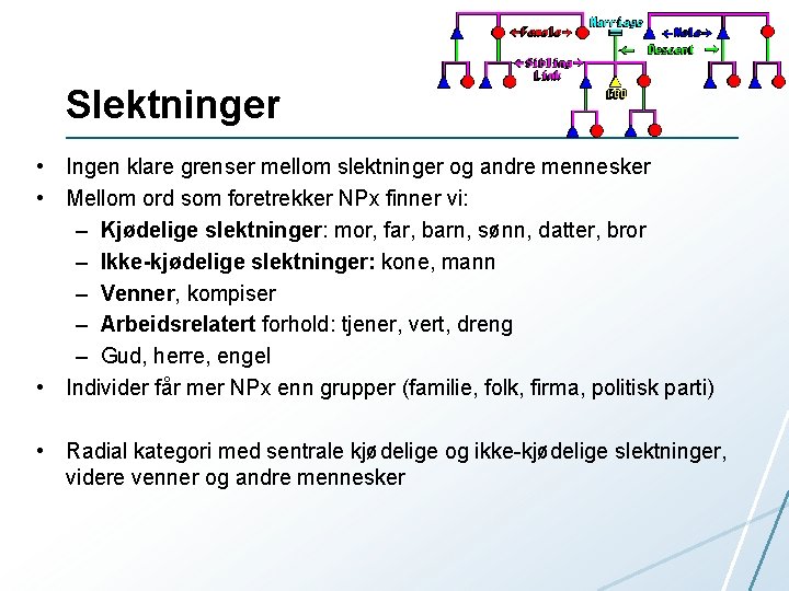 Slektninger • Ingen klare grenser mellom slektninger og andre mennesker • Mellom ord som