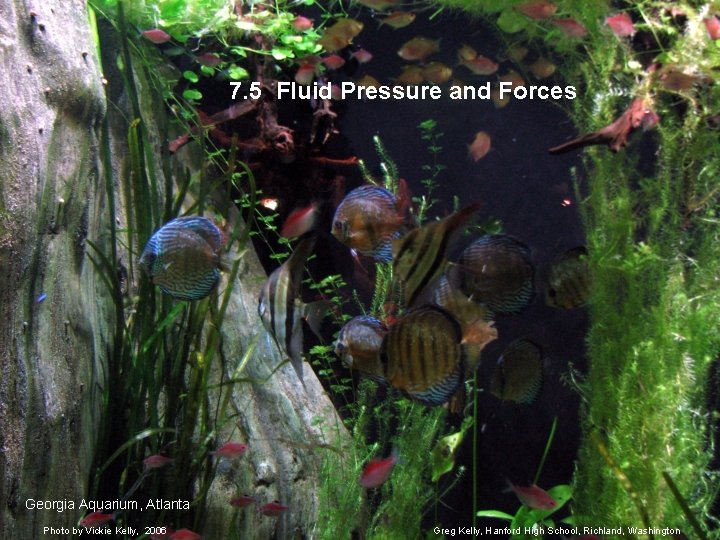 7. 5 Fluid Pressure and Forces Georgia Aquarium, Atlanta Photo by Vickie Kelly, 2006