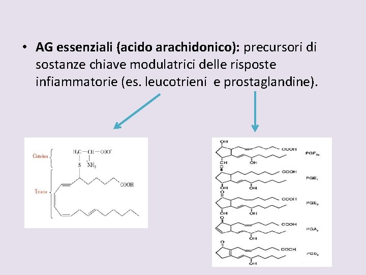  • AG essenziali (acido arachidonico): precursori di sostanze chiave modulatrici delle risposte infiammatorie