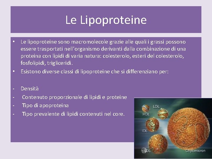 Le Lipoproteine • Le lipoproteine sono macromolecole grazie alle quali i grassi possono essere