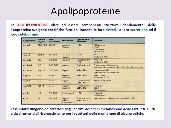 Apolipoproteine 
