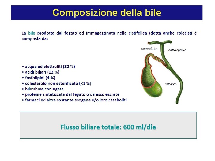 Composizione della bile 