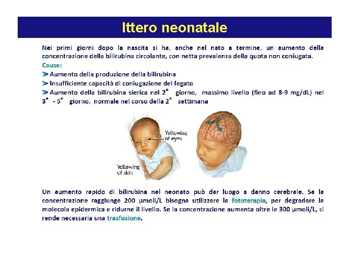 Ittero neonatale 