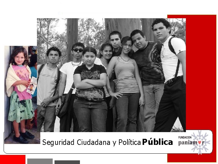 Seguridad Ciudadana y Política Pública 