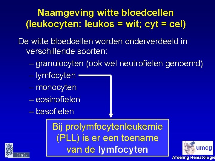 Naamgeving witte bloedcellen (leukocyten: leukos = wit; cyt = cel) De witte bloedcellen worden