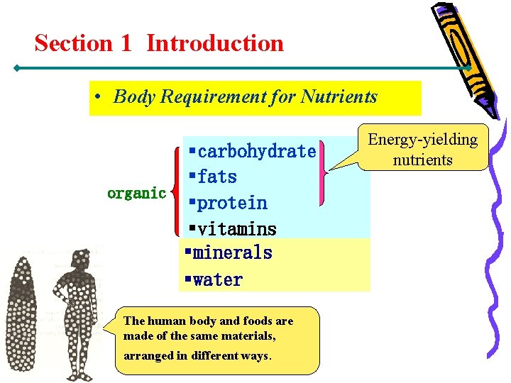 Section 1 Introduction • Body Requirement for Nutrients §carbohydrate §fats organic §protein §vitamins §minerals