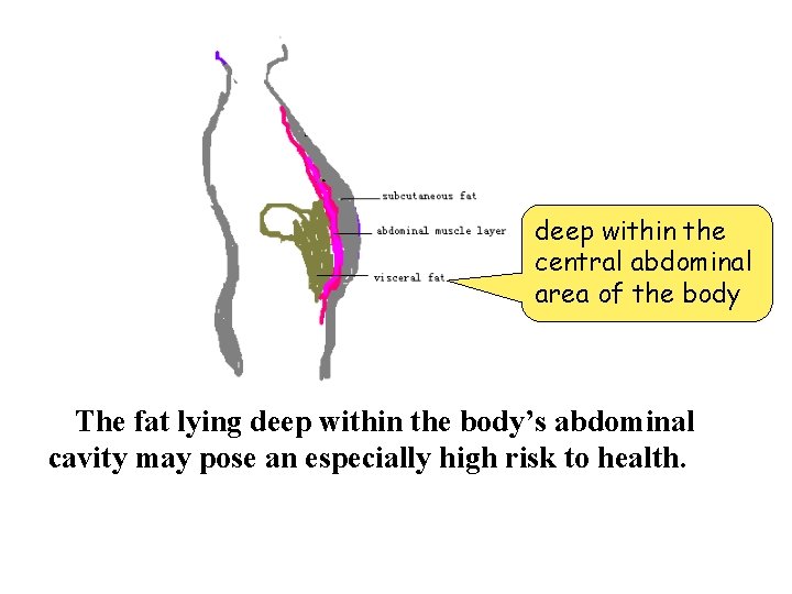 deep within the central abdominal area of the body The fat lying deep within